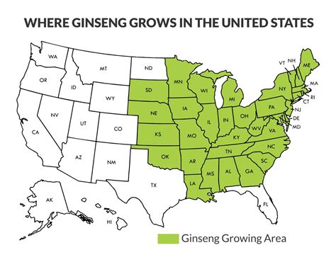 can ginseng grow in texas|where ginseng grows map.